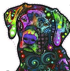 Meet your Posher, Marlene